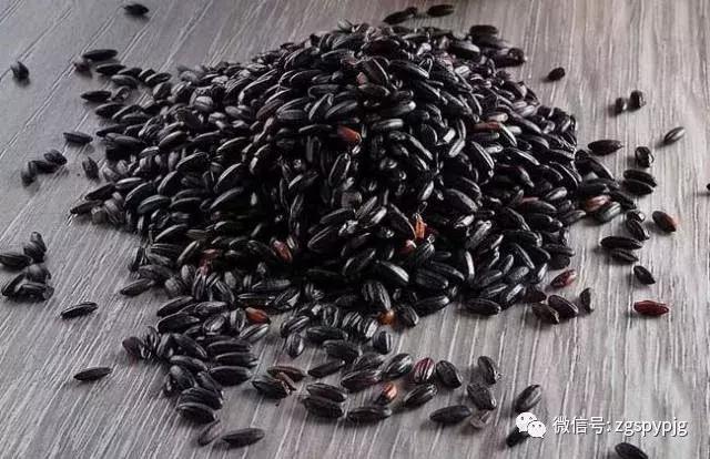 21种五谷杂粮的营养价值，好处各不同，受用一生！