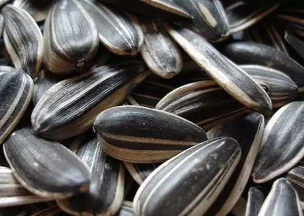10大坚果食用禁忌