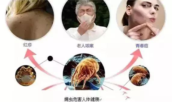 ϯ600ֻ棡ҹϴ+ɹûõġֻҪ2Ӹ㶨