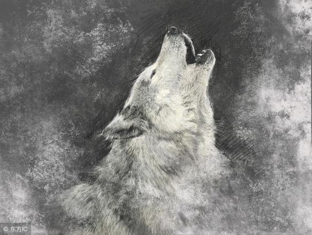 쵼ϵٺãҲҪסҸ棬ԽԽ