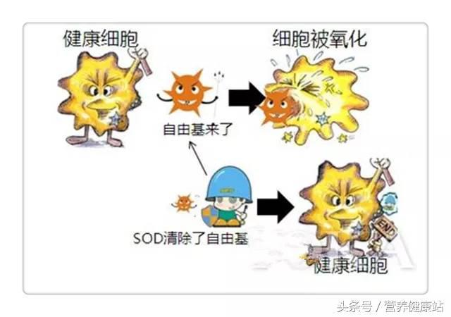 人为什么会得病？早一天了解，多活一年！