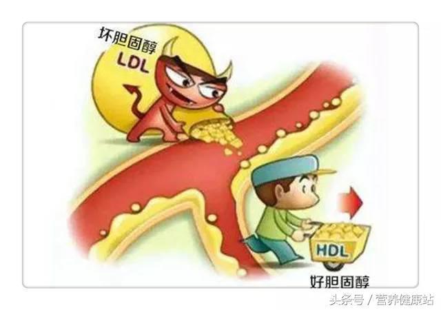 人为什么会得病？早一天了解，多活一年！