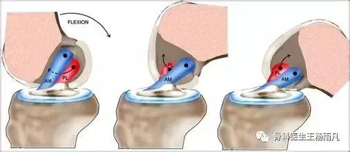 ˣϥؽʹ˵