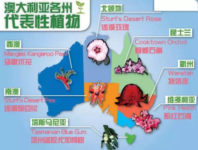 能让你清晰了解澳大利亚的25张图
