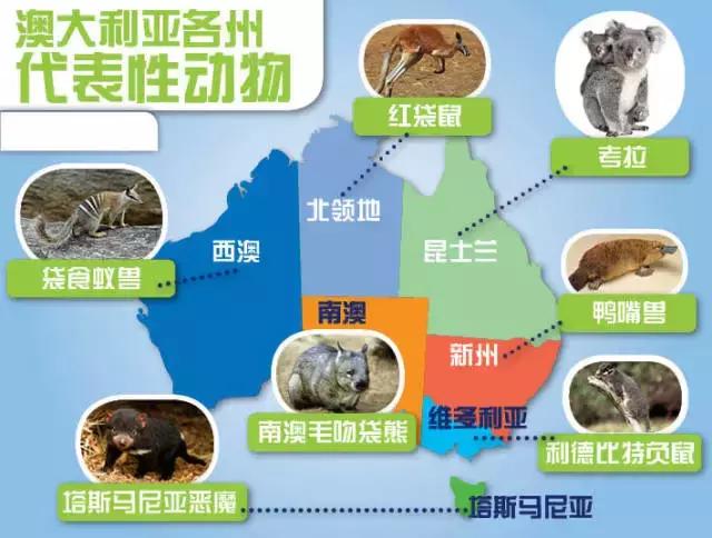 能让你清晰了解澳大利亚的25张图