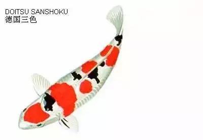 ʷȫĽתˣ