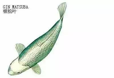 ʷȫĽתˣ