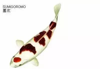 ʷȫĽתˣ