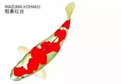 ʷȫĽתˣ