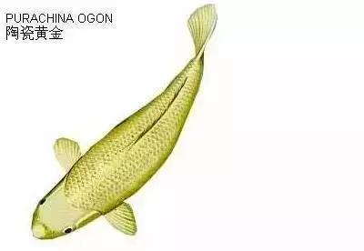 ʷȫĽתˣ