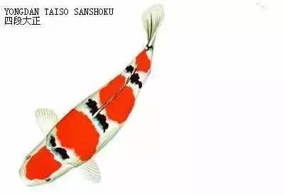 ʷȫĽתˣ