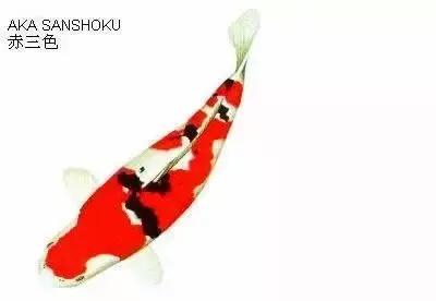 ʷȫĽתˣ