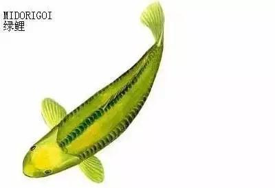 ʷȫĽתˣ