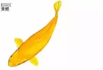 ʷȫĽתˣ