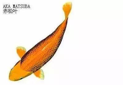ʷȫĽתˣ