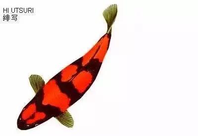 ʷȫĽתˣ