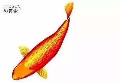 ʷȫĽתˣ