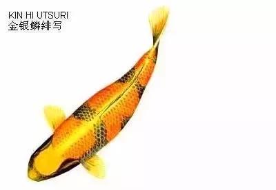 ʷȫĽתˣ