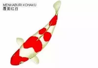 ʷȫĽתˣ