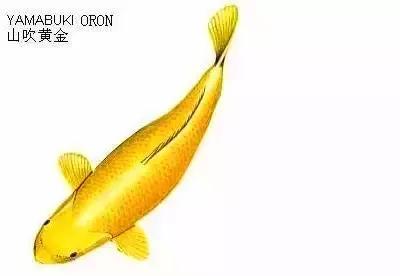 ʷȫĽתˣ