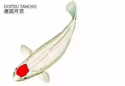 ʷȫĽתˣ