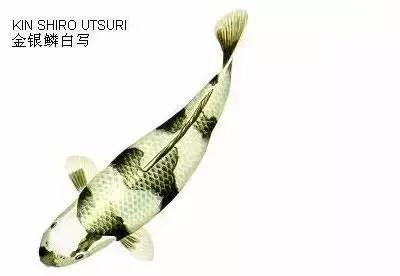 ʷȫĽתˣ