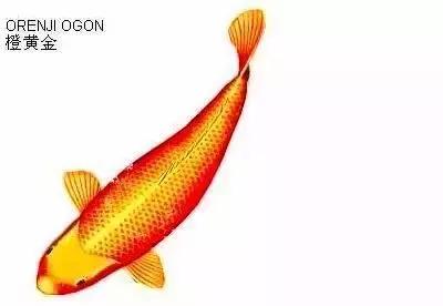 ʷȫĽתˣ