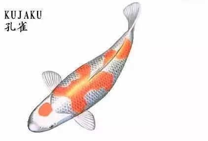 ʷȫĽתˣ