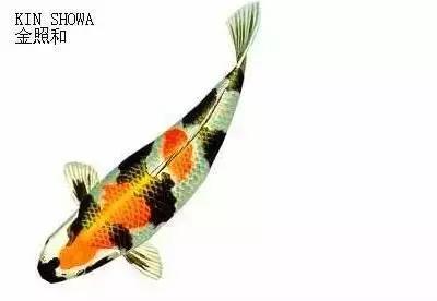 ʷȫĽתˣ