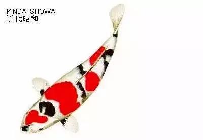 ʷȫĽתˣ