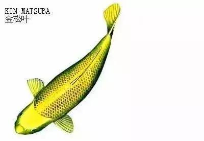 ʷȫĽתˣ