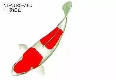 ʷȫĽתˣ