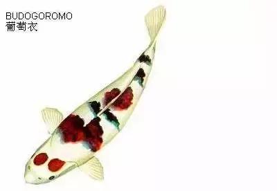 ʷȫĽתˣ