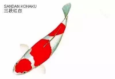 ʷȫĽתˣ