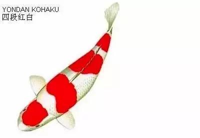 ʷȫĽתˣ
