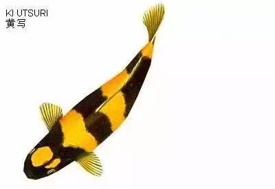 ʷȫĽתˣ