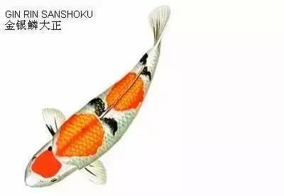 ʷȫĽתˣ