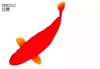 ʷȫĽתˣ