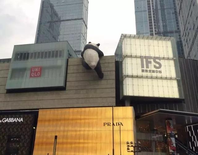 史上最强上海旅游攻略，你在网上找不到！（2018最新版）