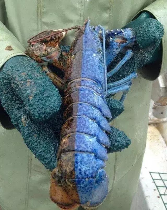 25Ų˼ƬһŶû