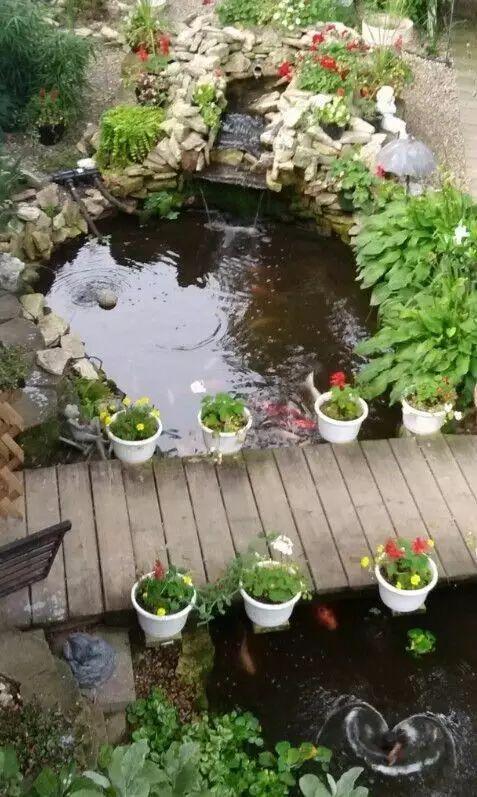 庭院 · 鱼池
