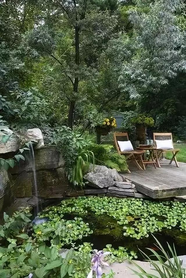 庭院 · 鱼池