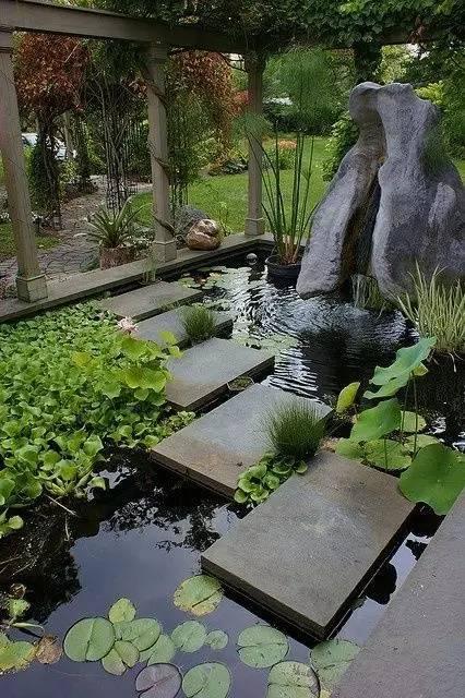 庭院 · 鱼池