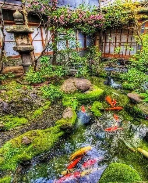 庭院 · 鱼池
