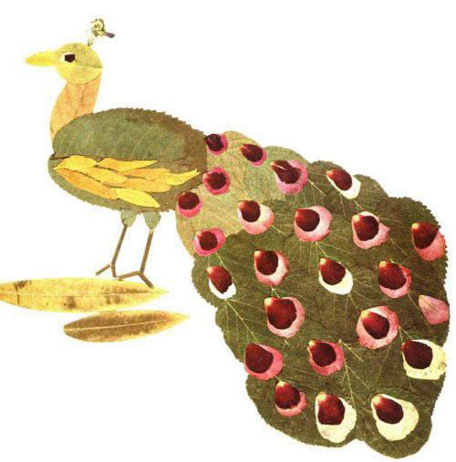 22Ҷ⶯ﻭ׶԰ֹҵرղɣ