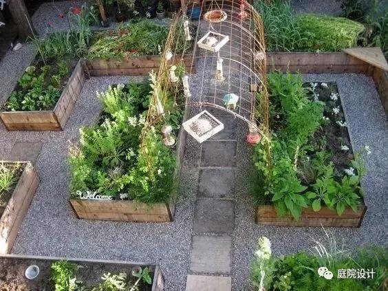 庭院种菜|零基础一米菜园打造手册