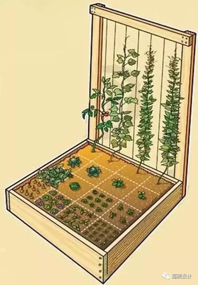 庭院种菜|零基础一米菜园打造手册
