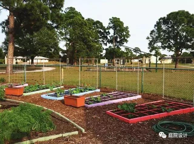庭院种菜|零基础一米菜园打造手册