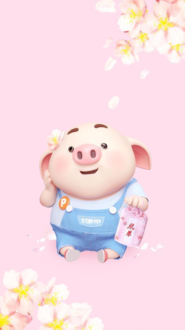 2019,近“猪”者赤,近我者甜~