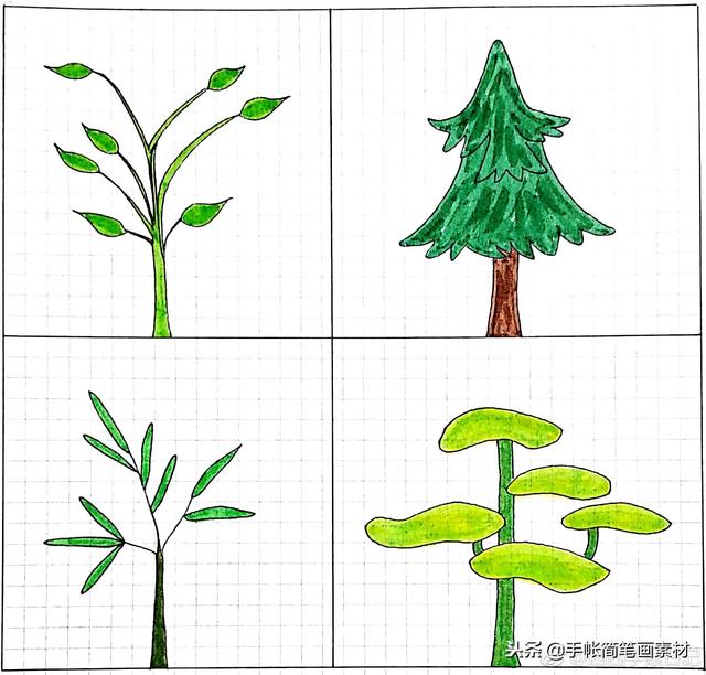 小清新风格小树的简笔画~